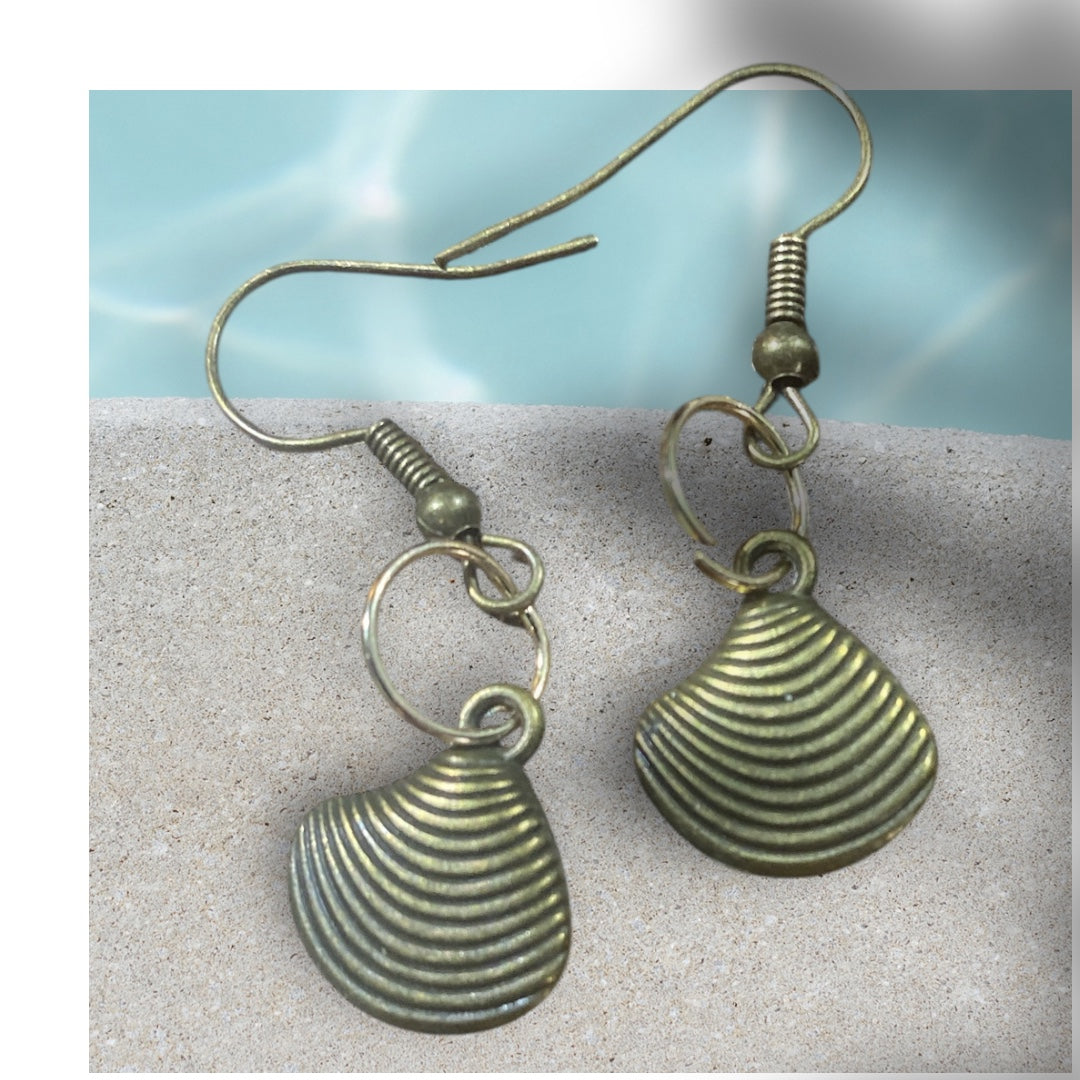 Shell earrings